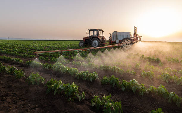Best Pest Control Cost  in Willmar, MN