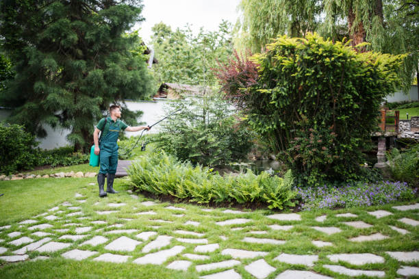 Best Insect Control  in Willmar, MN