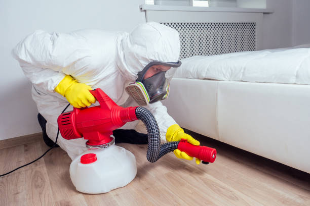 Best Best Pest Control Companies  in Willmar, MN