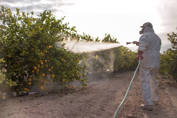 Best Cockroach Control Services  in Willmar, MN